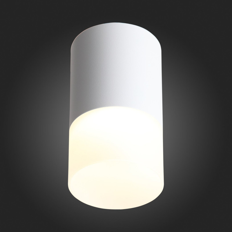 Потолочный светодиодный светильник ST Luce Ottu ST100.542.05