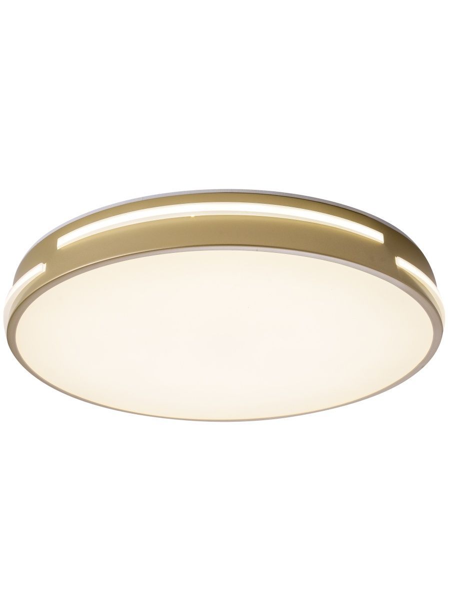 Потолочный led светильник Zortes Gabby ZRS.90610.40