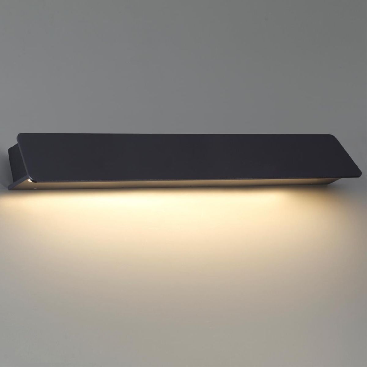 Уличный настенный светильник Odeon Light Leo 6642/16WL