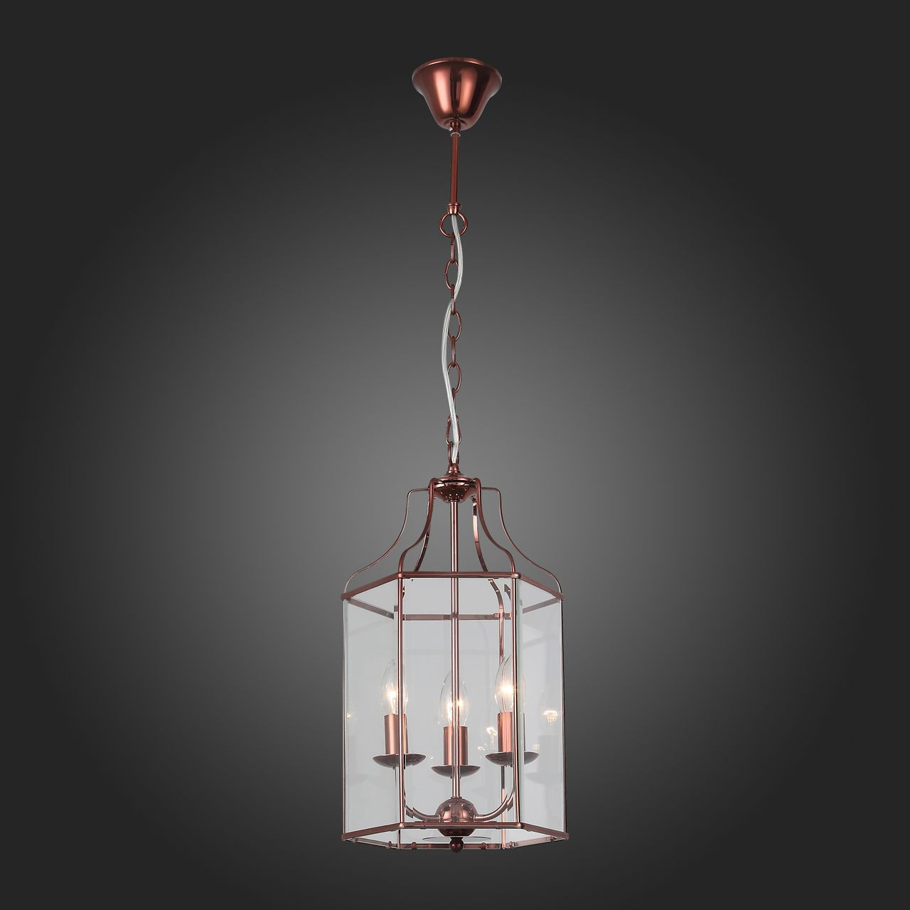 Подвесная люстра ST Luce Terso SL228.603.03