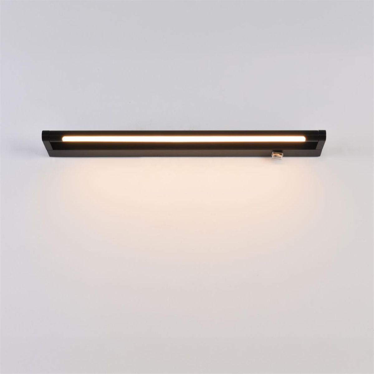 Настенный светильник Lumion Ledio Bathli 8313/11WL