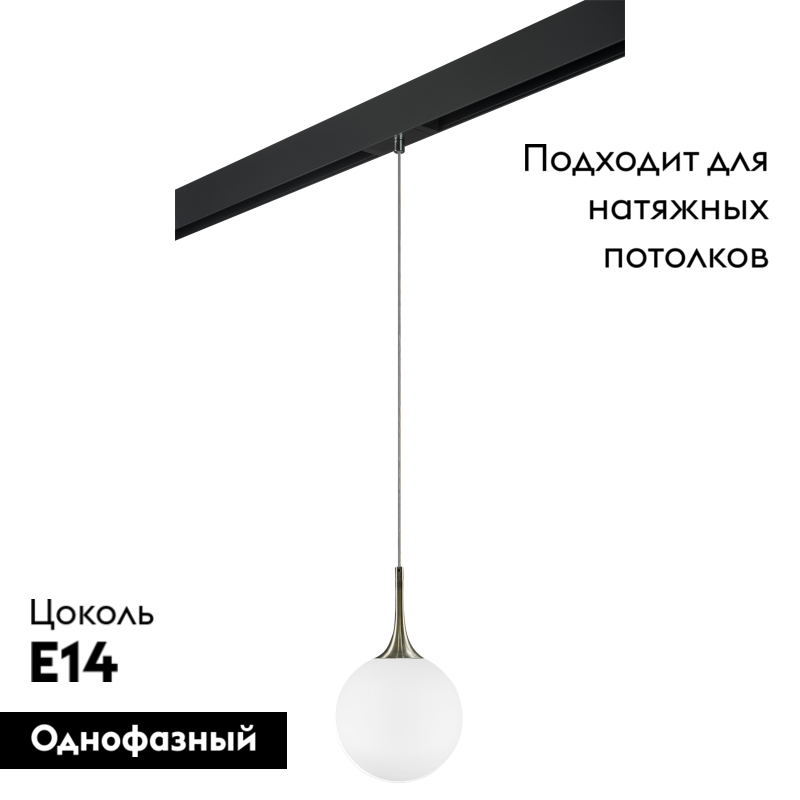Трековый светильник Lightstar Globo PRO813021 (813021+595007)