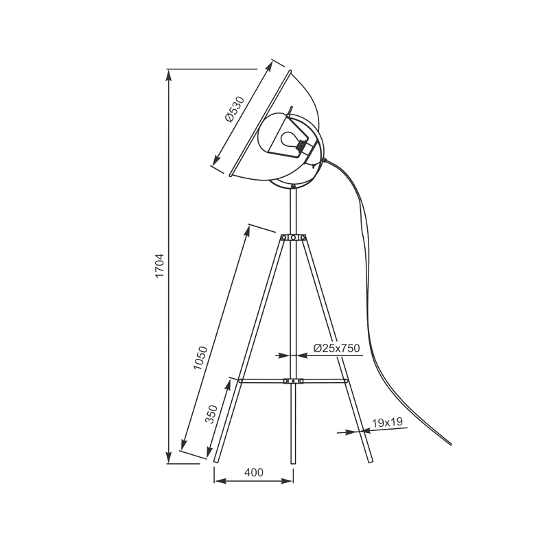 Торшер Zumaline ANTENNE TS-090522F-BKSI