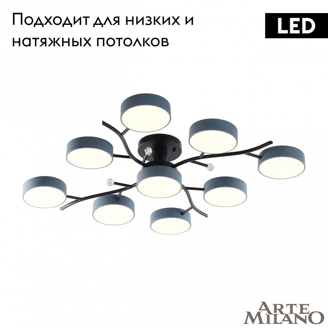 Потолочная люстра Arte Milano Ferrara 256606/8+1 Bk/Gr