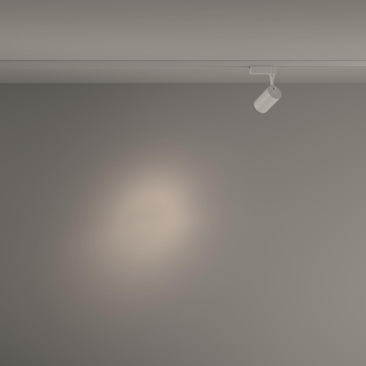 Трековый светильник Maytoni Technical Vuoro TR003-1-6W4K-S-W
