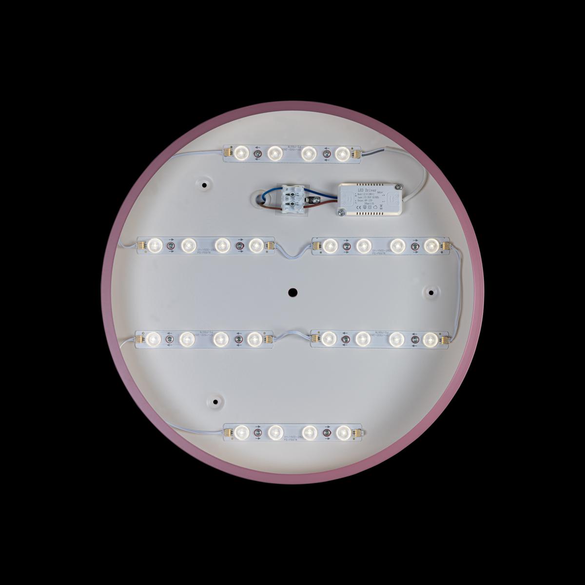 Потолочный светильник Loft IT AXEL 10003/24 Pink УЦ