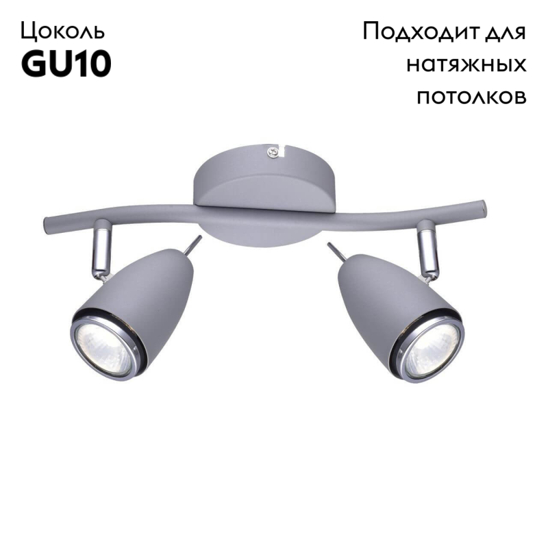 Спот Arte Lamp Regista A1966AP-2GY