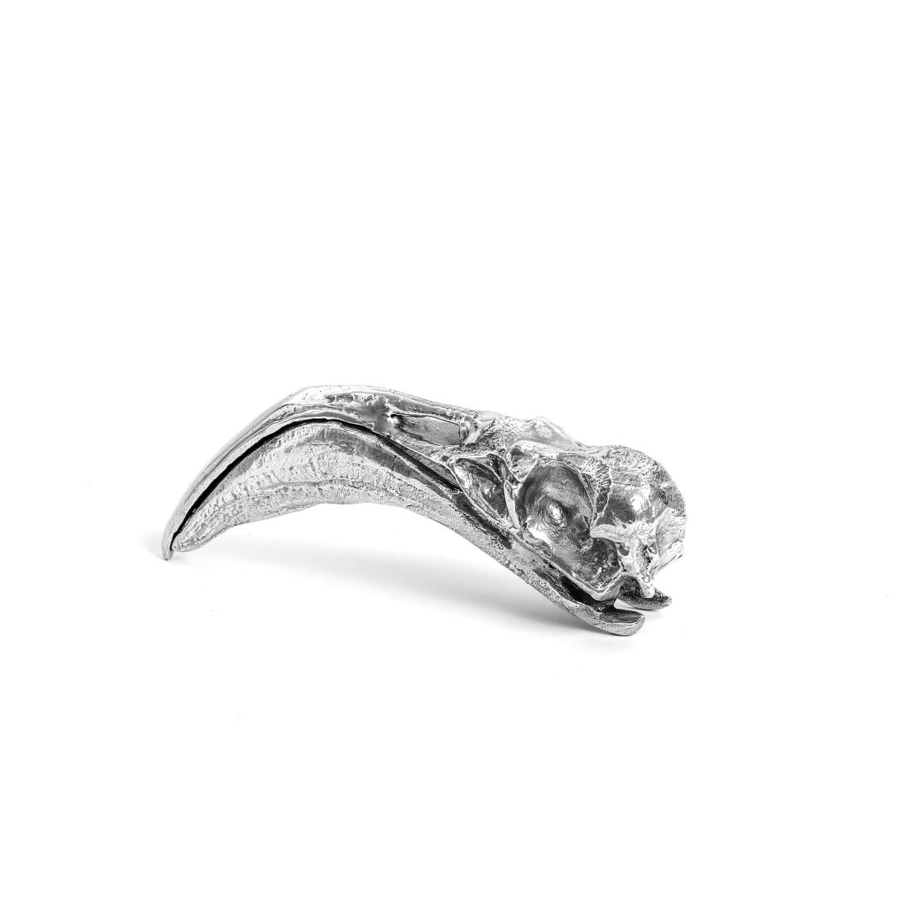 Статуэтка Flamingo Skull Seletti Wunderkammer 10898