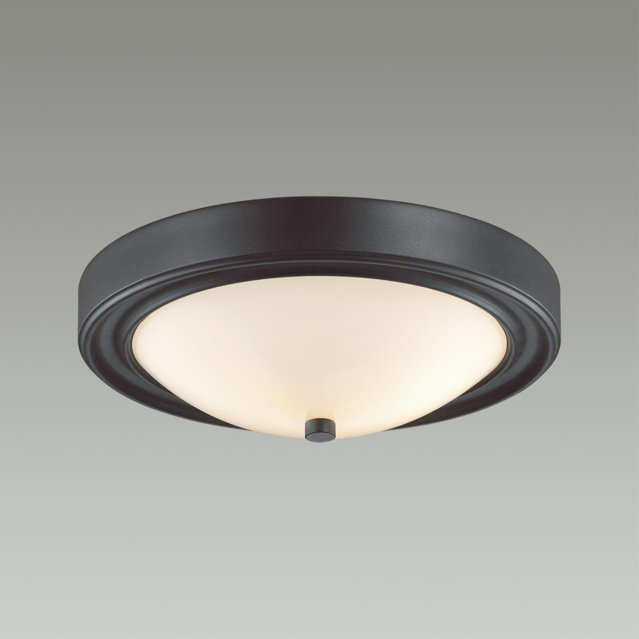 Настенно-потолочный светильник Lumion Vintage 5260/2C