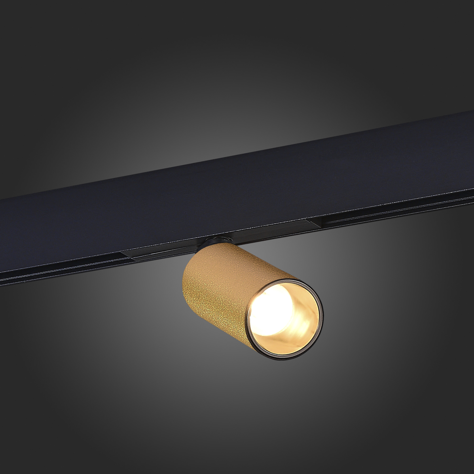 Трековый светильник (золото) ST Luce Skyline 48 ST807.246.12