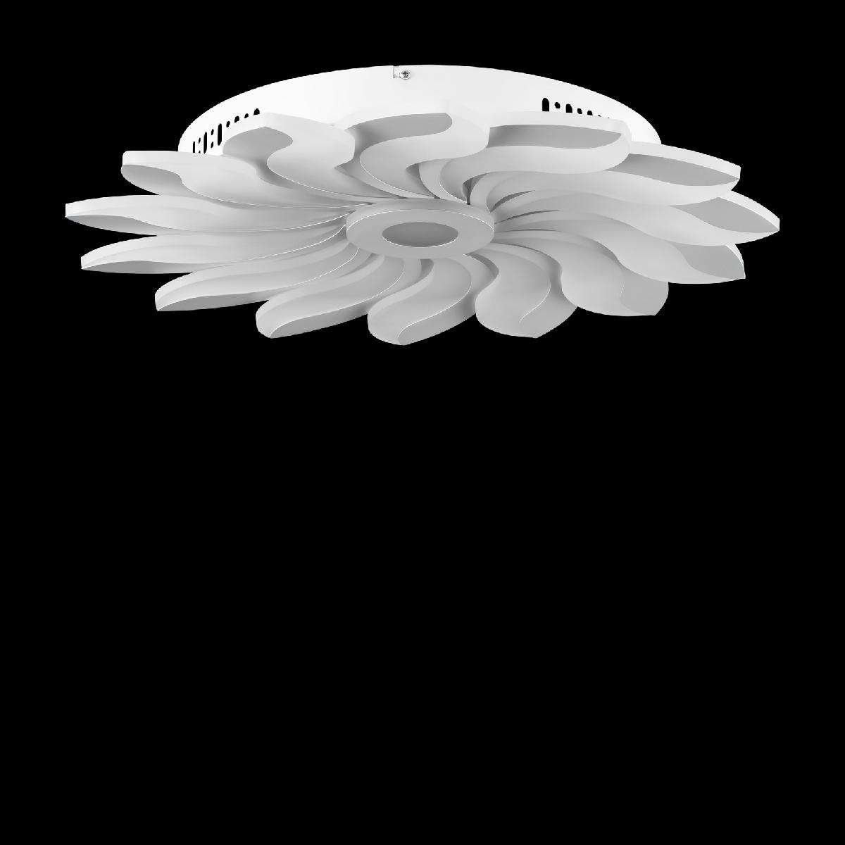 Потолочная люстра Freya Cameron FR10023CL-L127W