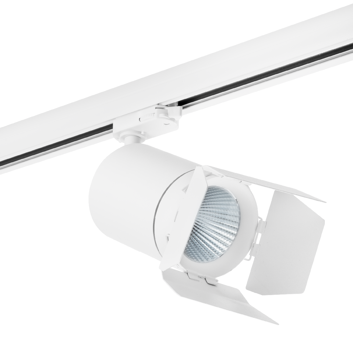 Трековый светильник Lightstar Canno LED (303564+202996) C356496