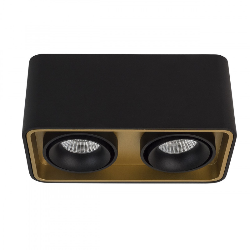 Накладной светильник LeDron TUBING 2 Black/Gold 00000013171