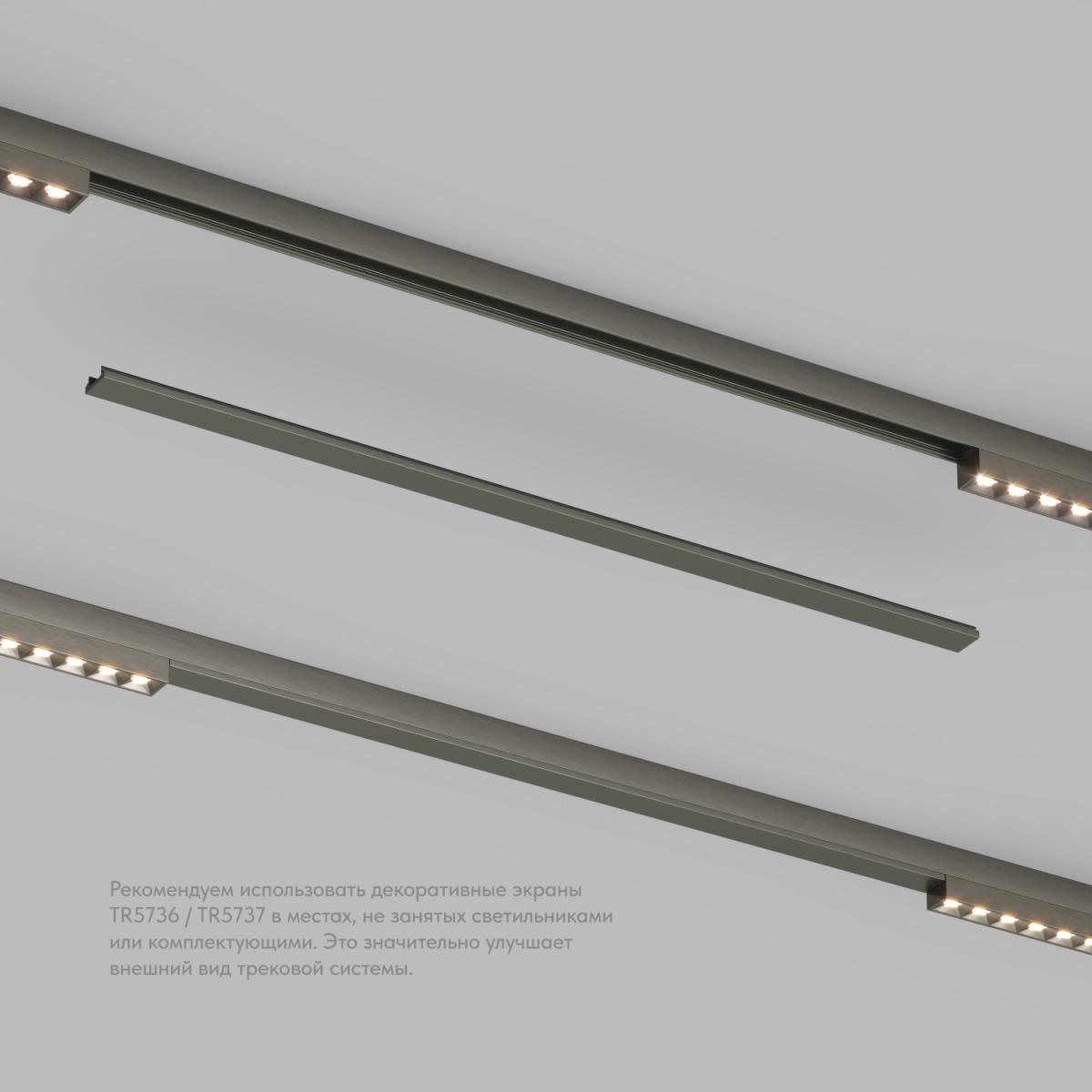 Декоративная заглушка желоба трека Denkirs Shine Base TR5737-DN