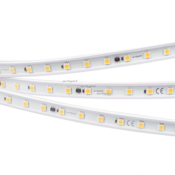 Светодиодная лента Arlight ARL-10000PV-5060-54 029403