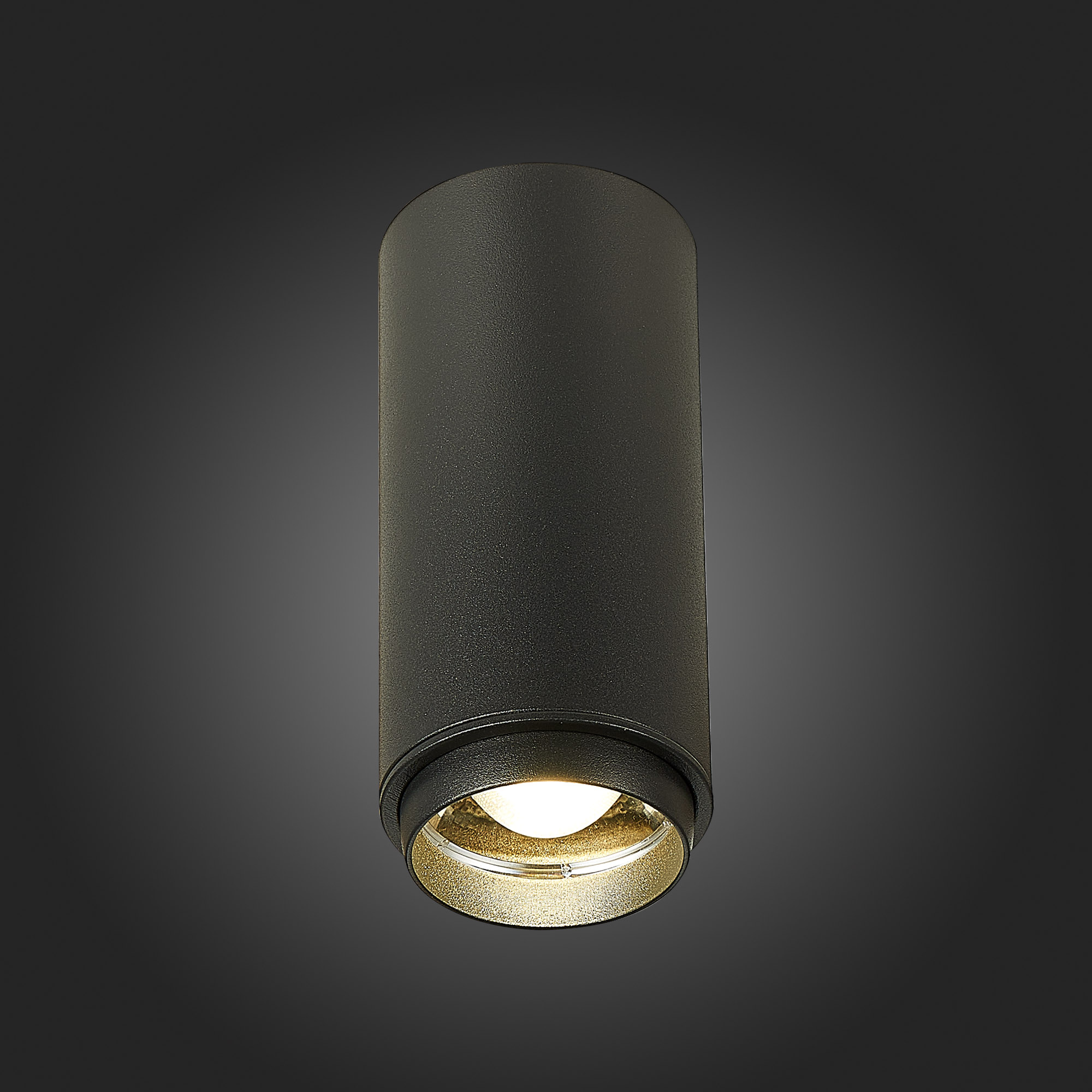 Потолочный светильник ST Luce Zoom ST600.442.10