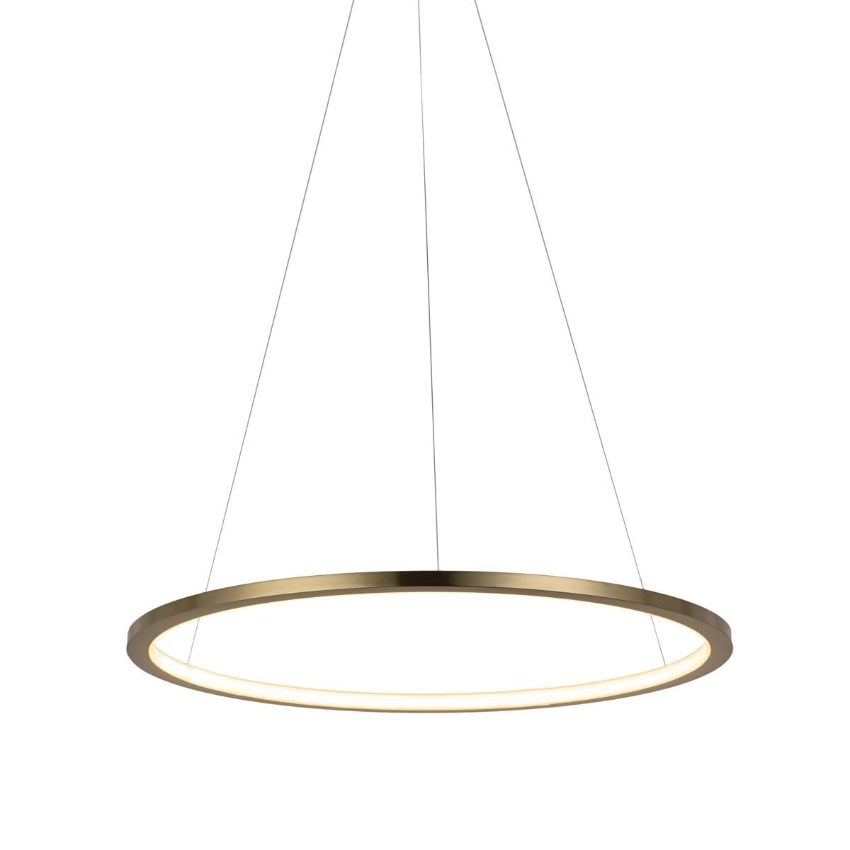Подвесной светодиодный светильник на тросе Loft IT Ring 10014M