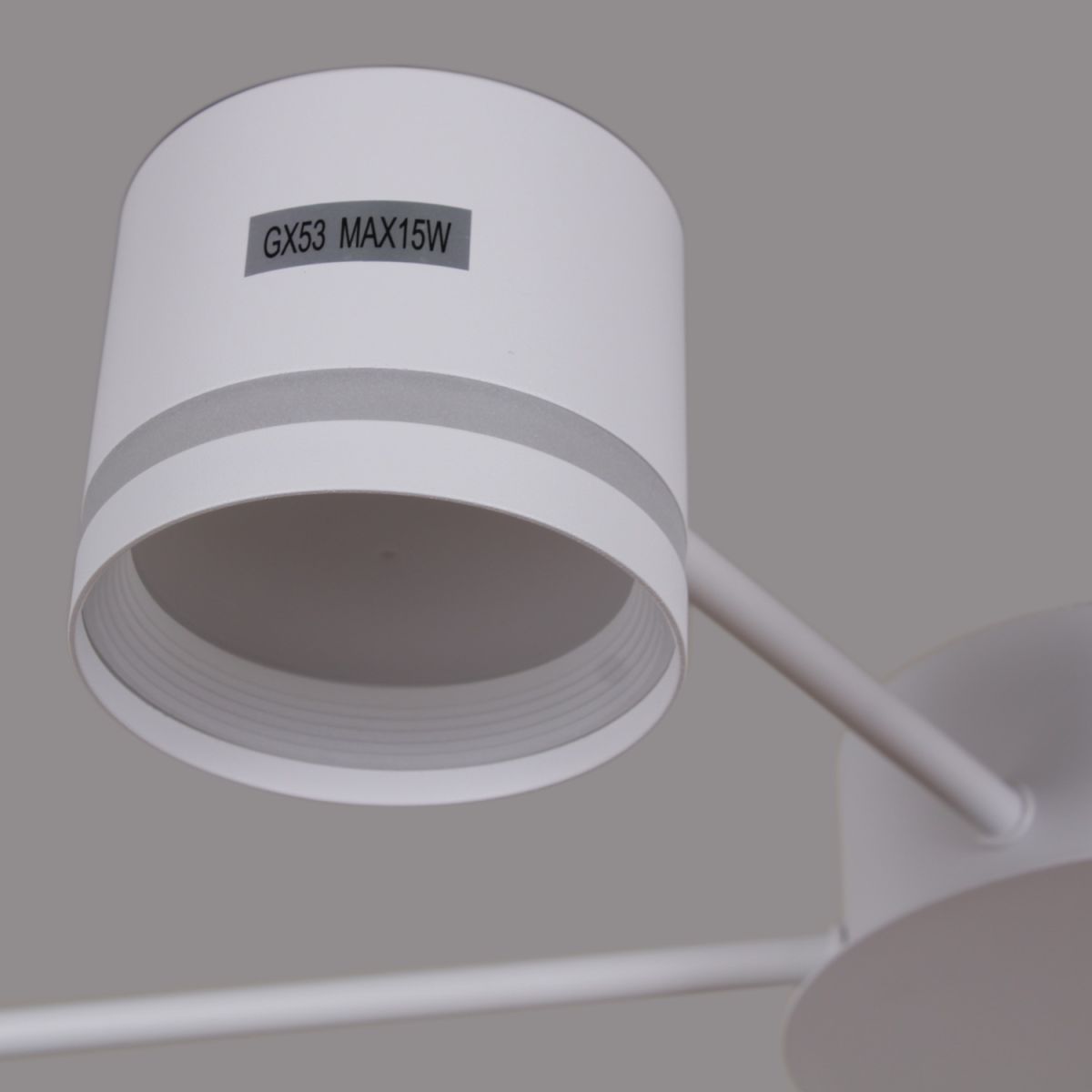 Потолочная люстра Reluce 06730-0.3-06 GX53 WT