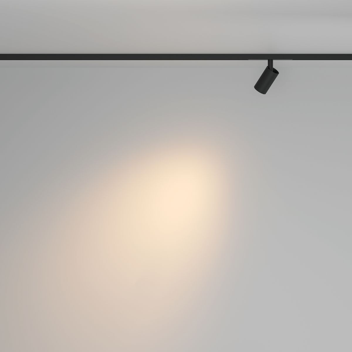 Трековый магнитный светильник Maytoni Focus Led TR176-1-5WTW-M-B