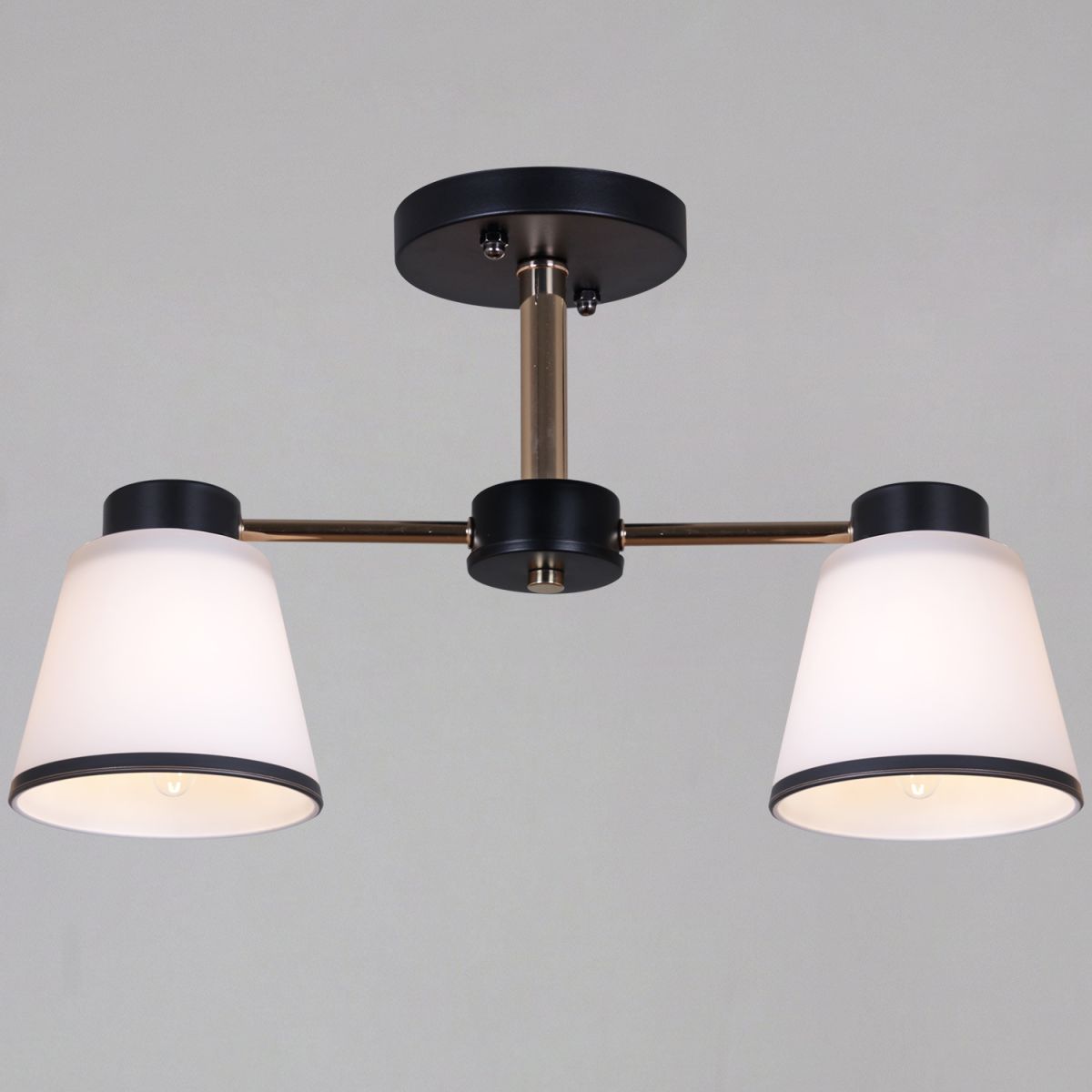 Потолочный светильник Reluce 30560-0.3-02 BK+FG