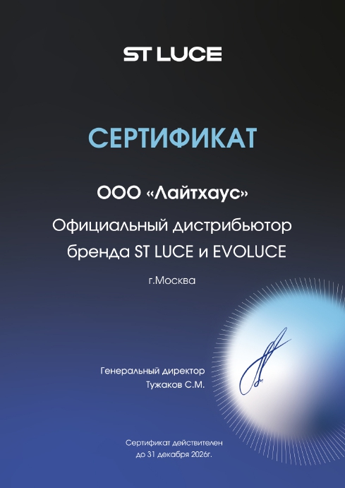 Потолочная люстра ST Luce Gravetta SL6601.102.78