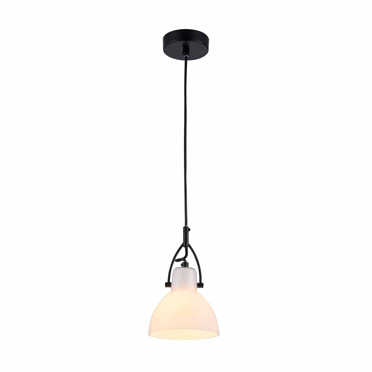 Подвесной светильник Maytoni Daniel MOD407-PL-01-B