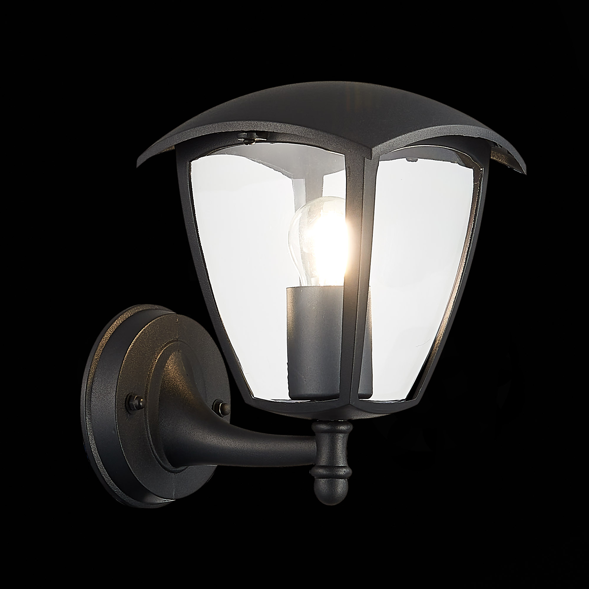 Уличный настенный светильник ST Luce Sivino SL081.401.01 в Москве