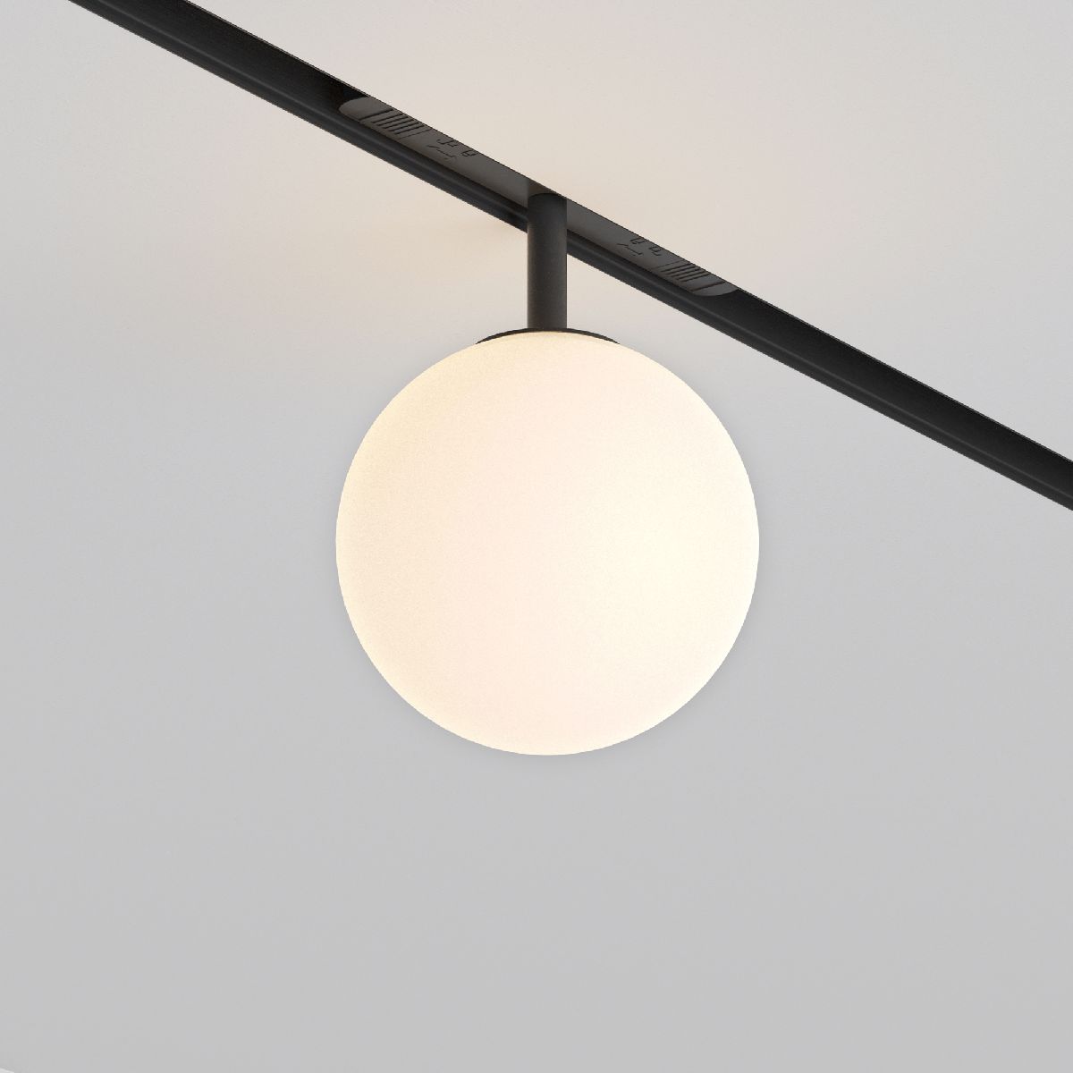 Трековый светильник Technical Maytoni Luna TR038-2-5W3K