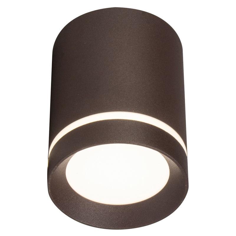 Потолочный светильник 20009 20009SMU/01LED CF