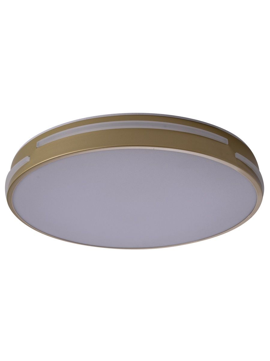 Потолочный led светильник Zortes Gabby ZRS.90610.40