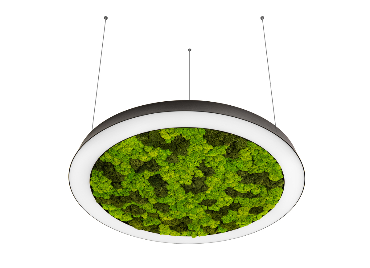 Подвесная люстра Donolux Aura Moss DL800S72WW Moss Black