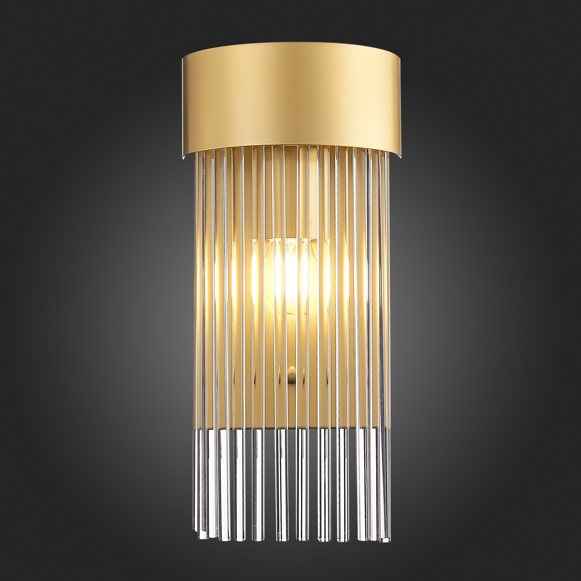 Настенный светильник ST Luce Contatto SL1225.201.01