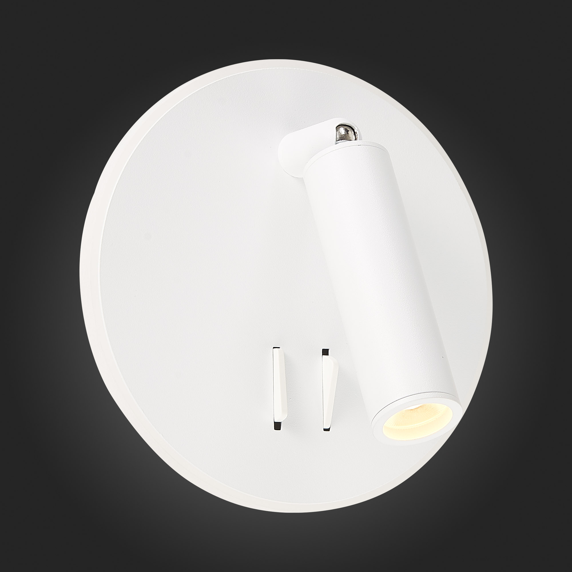 Спот ST Luce Bondi SL1586.513.01 в Москве