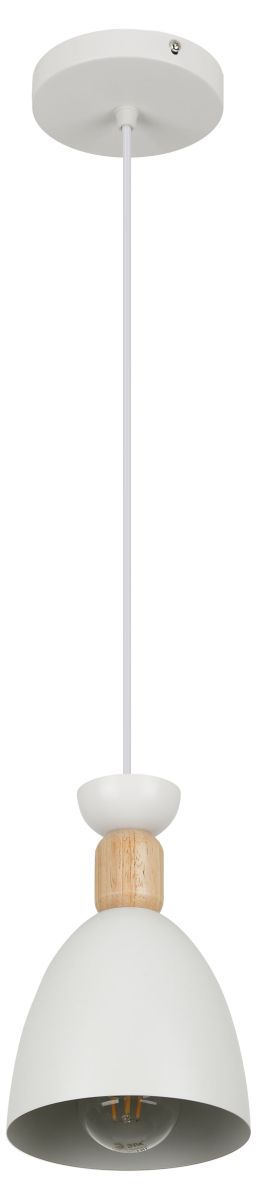 Подвесной светильник Rivoli Catherine 5109-201 Б0069910