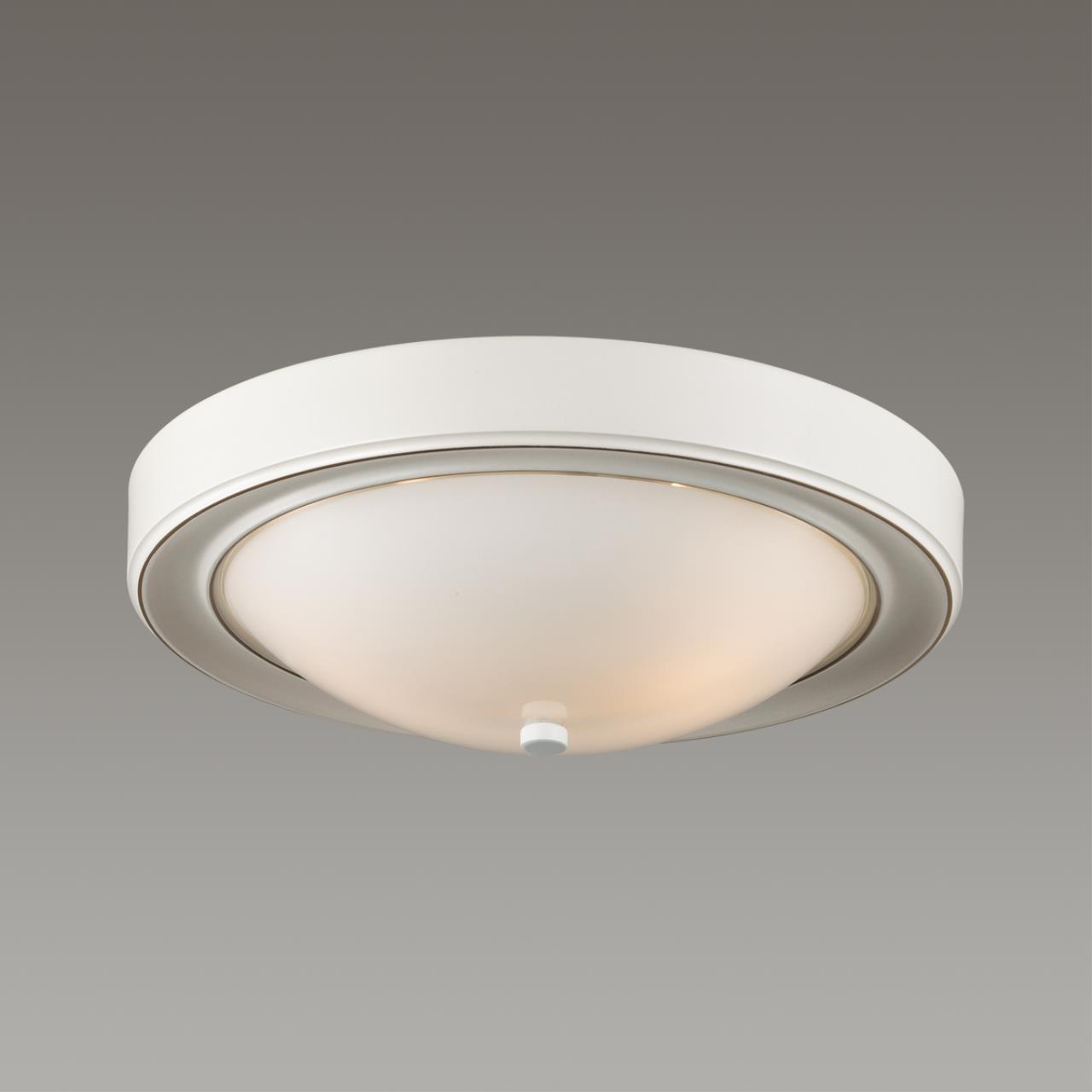 Потолочный светильник Lumion Nina 5279/2C