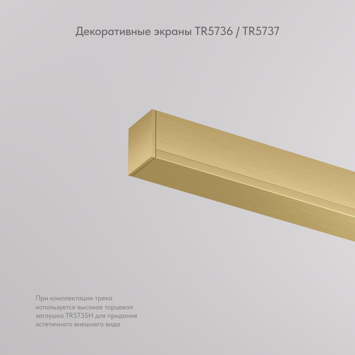 Декоративная заглушка желоба трека Denkirs Shine Base TR5737-SB