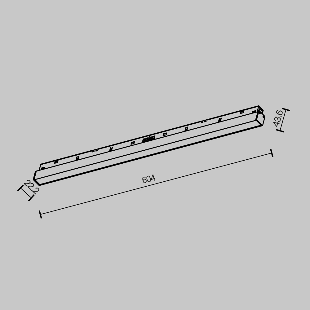 Трековый магнитный светильник потолочный Maytoni Basis TR030-2-24W2.7K-B