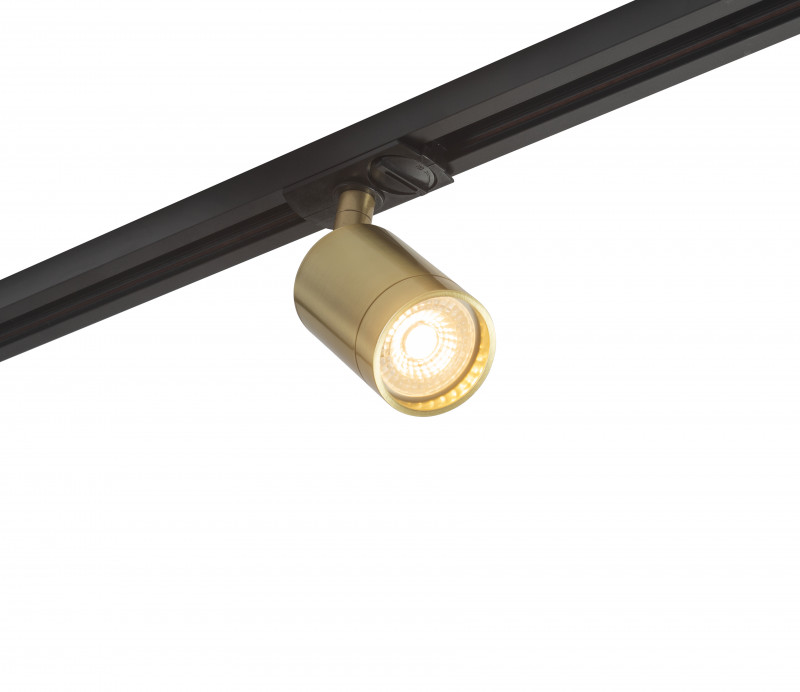 Трековый светильник (золото) Denkirs DK620 DK6201-BS
