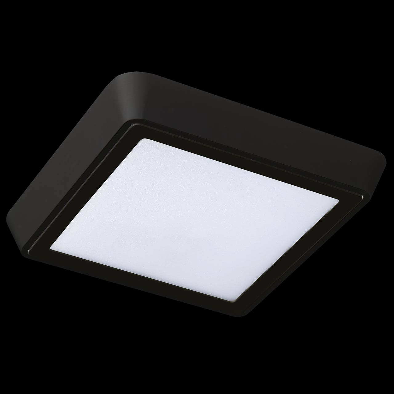 Уличный светильник Lightstar 216872