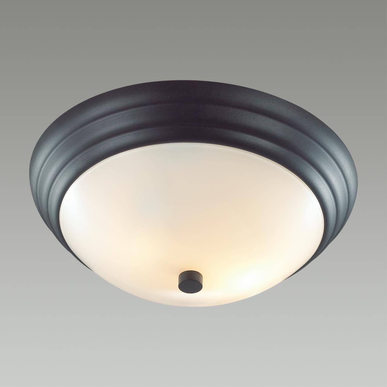 Настенно-потолочный светильник Lumion Vintage 5263/2C