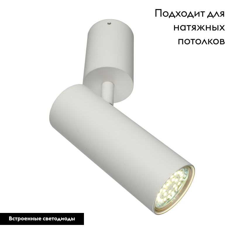 Настенно-потолочный светильник Aployt Berenis APL.007.02.01