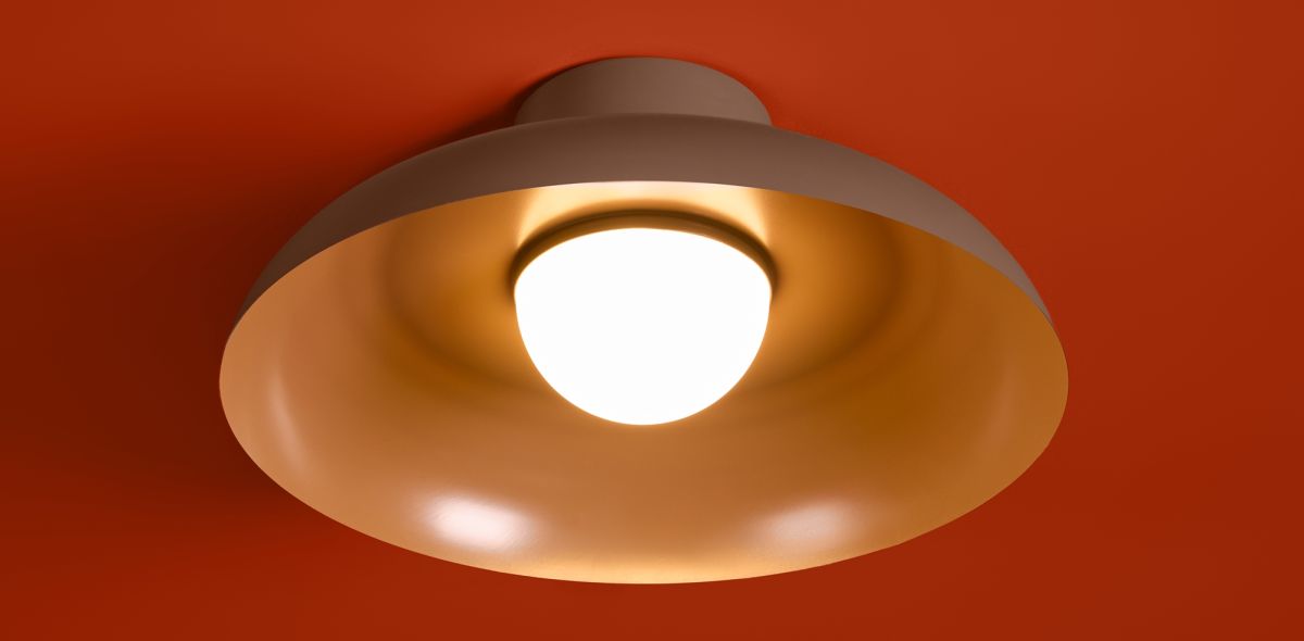 Потолочный светильник Freya Movement FR5602CL-L10BR