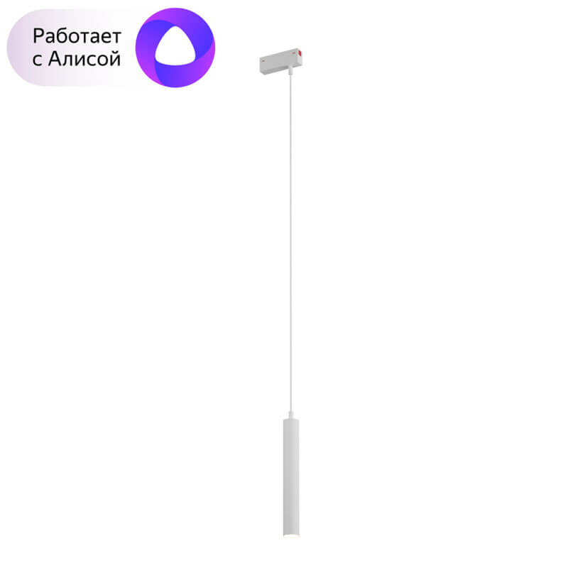 Трековый светильник алюминиевый Denkirs Smart DK8008-WH