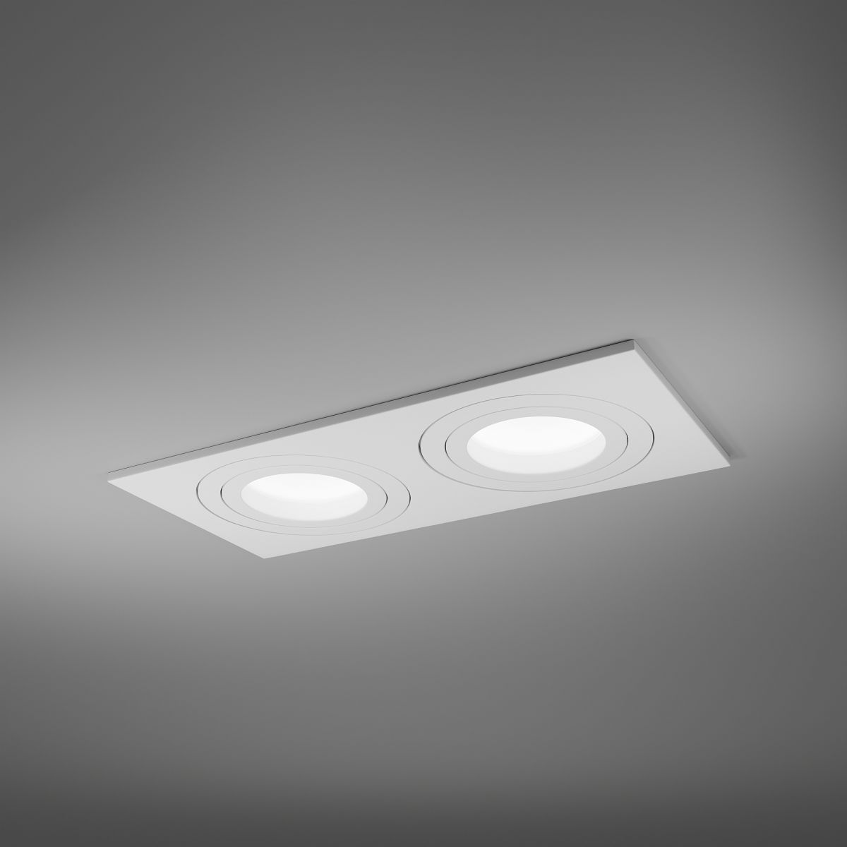 Встраиваемый светильник Lightera Mont LE204RL-2W