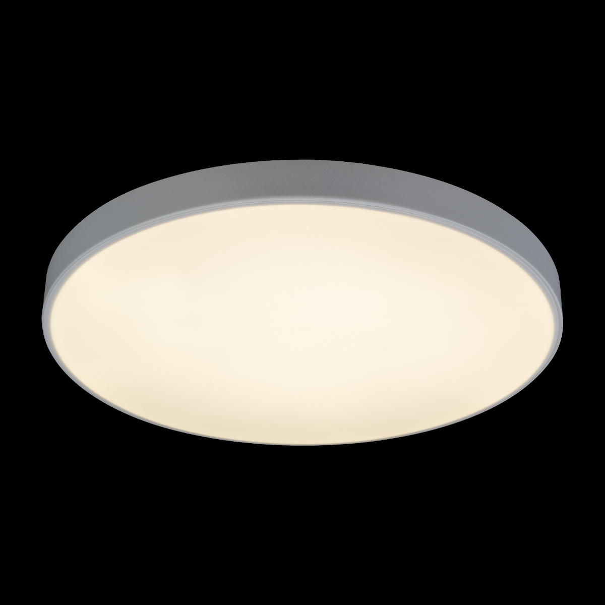 Потолочный светильник Loft IT AXEL 10002/48 White УЦ