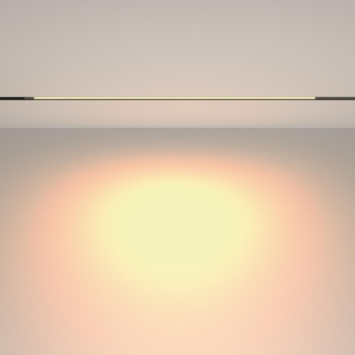 Трековый магнитный светильник Maytoni Technical Basis TR231-2-15W3K-B