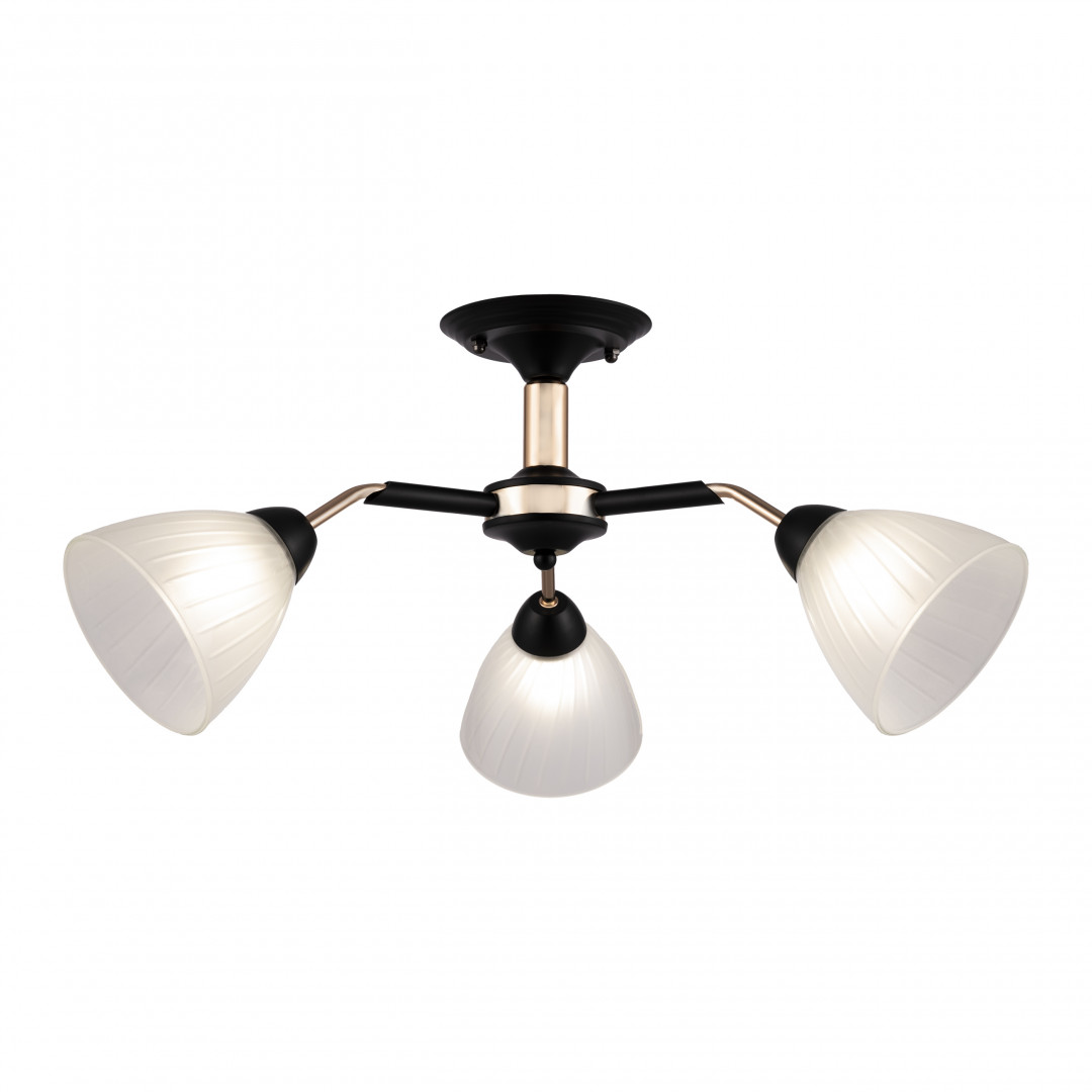 Люстра на штанге Arte Milano Napoli 324108/3 BK+FG