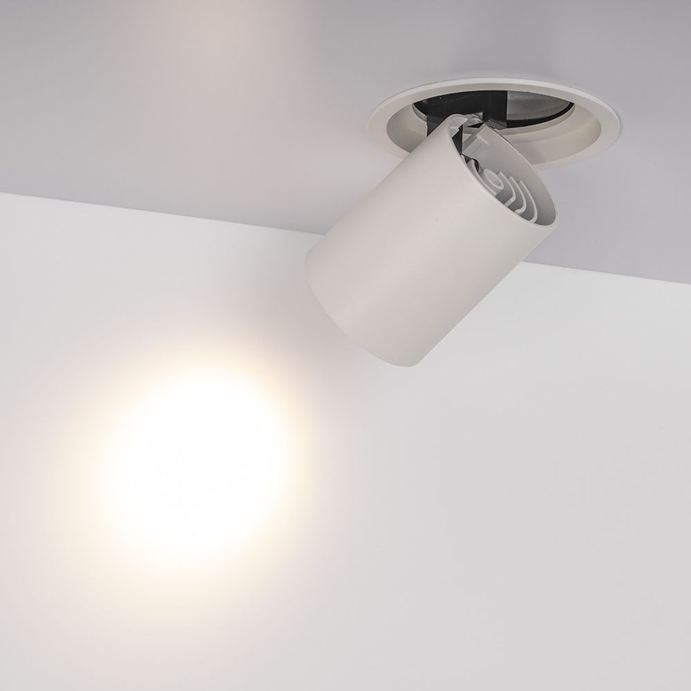 Встраиваемый светильник Arlight LGD-PULL-R100-10W Day4000 026191