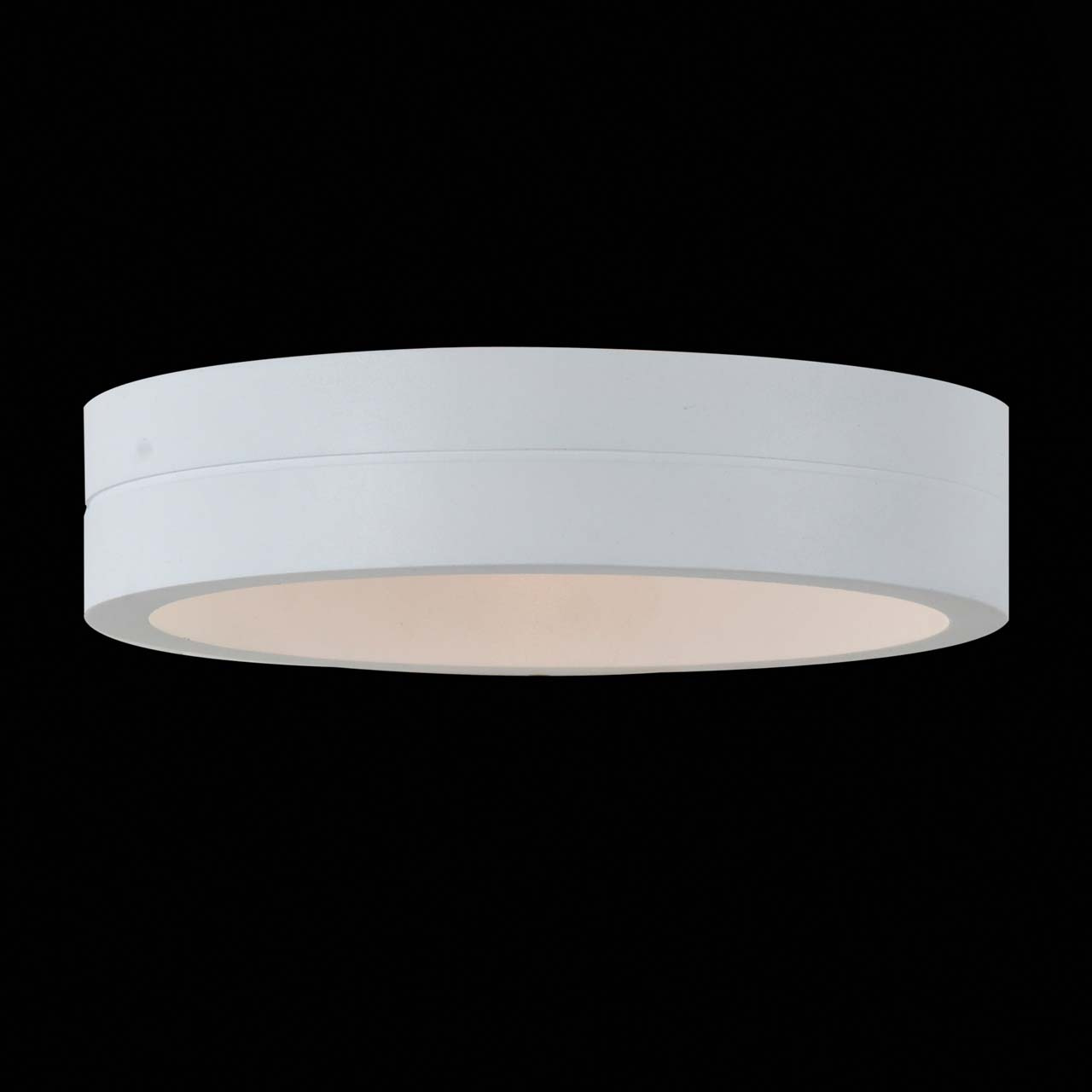 Уличный настенный светодиодный светильник ST Luce SL562.501.01