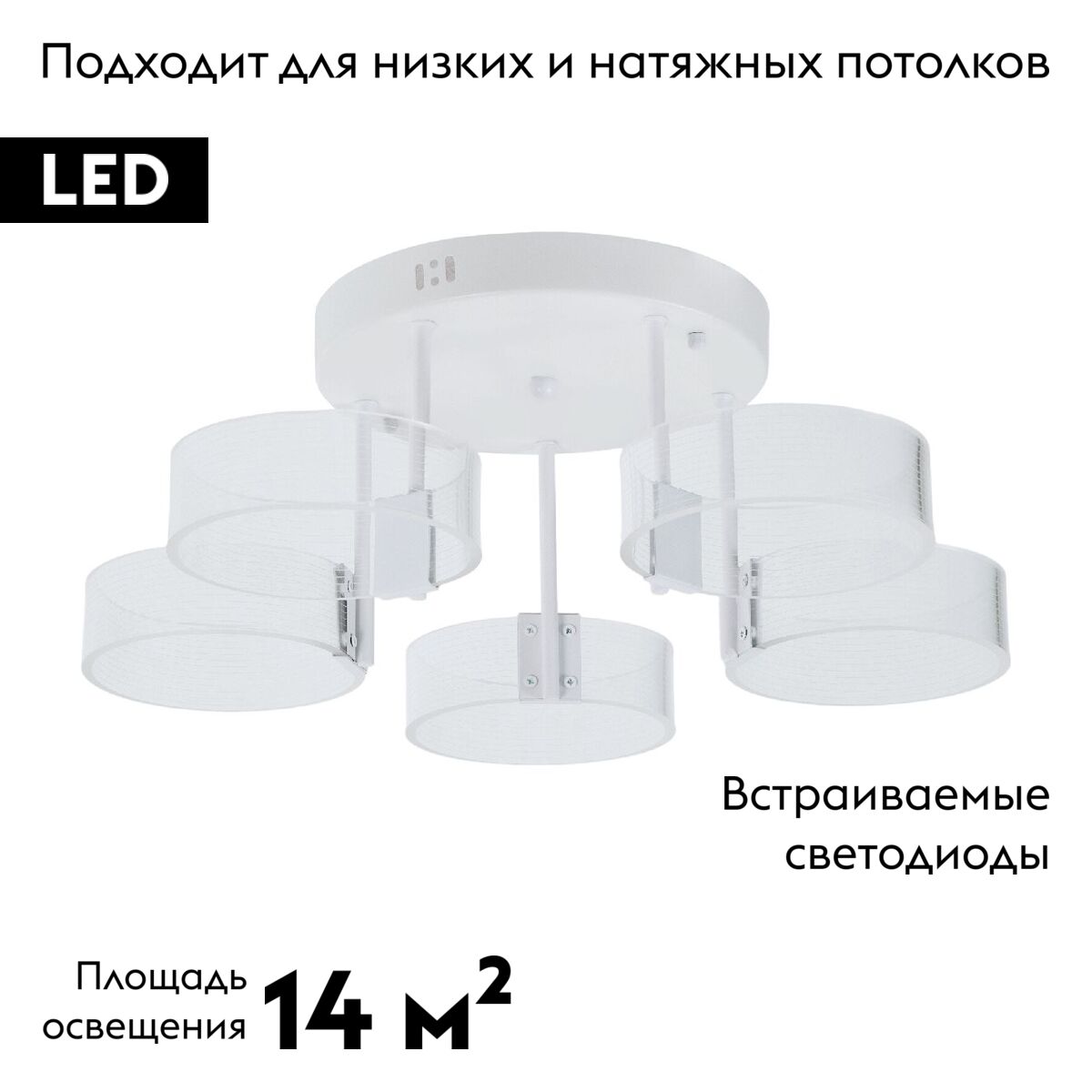 Потолочная люстра MyFar Vinsent MR1871-5CL